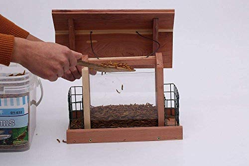 Solution4Patio Homes Garden USA Cedar Bird Feeder Wildbird Essentials Handmade Wooden Outdoor Ranch Patio Yard Tree Hanging with Double Plastic - WoodArtSupply