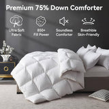 L LOVSOUL Down Comforter King Size, 850+ Fill Power Hotel Style Bedding Comforter, 1200TC, Fluffy Ultra Soft All Season White Duvet Insert with 8 Corner Tabs L LOVSOUL