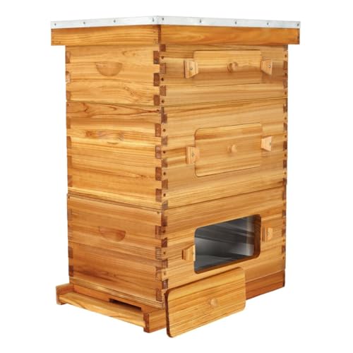 BeeCastle 10-Frame Langstroth Beehive with Windows, Beeswaxed Coated Bee Hive for Beginners with Beehive Frames and Waxed Foundations (2 Deep Bee Boxes & 1 Medium Super Bee Box) - WoodArtSupply