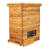 BeeCastle 10-Frame Langstroth Beehive with Windows, Beeswaxed Coated Bee Hive for Beginners with Beehive Frames and Waxed Foundations (2 Deep Bee Boxes & 1 Medium Super Bee Box) BeeCastle