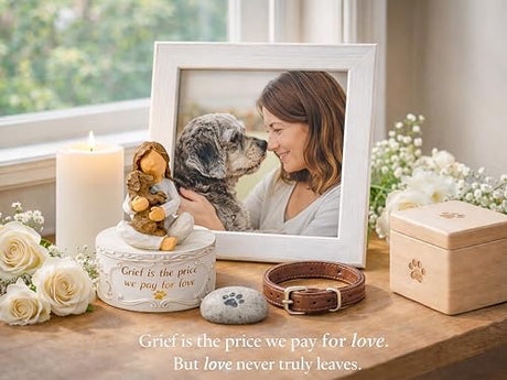 Gleemoria Pet Memorial Gifts for Dogs - Loss of Dog Sympathy Gift, Keepsake Trinket Box with Guardian Angel Figurine, Crystal Suncatcher Included, Remembrance Gift for Pet Loss Gleemoria