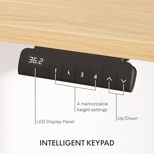 FLEXISPOT E6 3-Stage Dual Motor Electric Standing Desk 55 x 28 Sit Stand Up Desk, Holds 220 lbs, Adjustable Height w/Memory Presets, One-Piece Maple Desktop & Black Frame, Ships in 2 Boxes FLEXISPOT