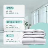 Martha Stewart White Down Feather Comforter Twin Size - 600 Fill Power 100% Cotton Down Duvet Insert, Made in USA, All Season Medium Warmth Comforter with Corner Loops - 68" x 90" Martha Stewart