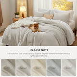 Bedsure Queen Comforter Set, Beige Soft Prewashed Bedding for All Seasons, 3 Pieces GentleSoft™ Bed Set, 1 Lightweight Comforter (90"x90") and 2 Pillowcases (20"x26") Bedsure