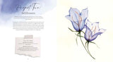 How to Paint Transparent Watercolour Flowers WoodArtSupply