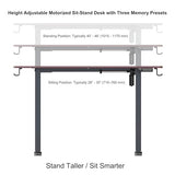 NSY Audio Electric Standing Desk 48x24 Inches - Height Adjustable, Whisper Quiet Motor, Walnut Top & Black Frame for Home Office Gaming, Focused Work, Walnut Brown Generic