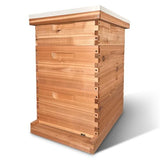 Luxurious Cedar Wood Beehive: Durable, Eco-Friendly Sanctuary for Bees - Handcrafted, Ventilated Design for Optimal Health and Honey Production, Made in USA (Includes 2 Deep and 1 Medium Box) Hoover Hives