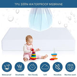 Moonsea Waterproof Mattress Protector Full Size,Mattress Cover Protector, Smooth Top Mattress Protector for Kids, Breathable Skin Friendly and Noiseless Fitted Sheet,Full Size,Polyester Moonsea