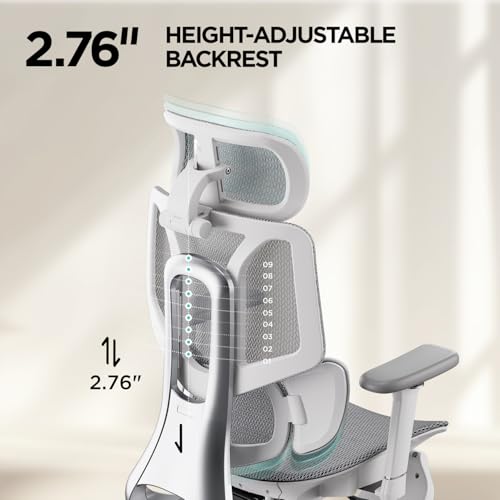 Hbada E3 Air Ergonomic Office Chair, Big and Tall Office Chair - with 3-Zone Dynamic Lumbar Support, 3D Adjustable Headrest, 3D Adjustable Armrests, Swivel, Grey(No Footrest) Hbada