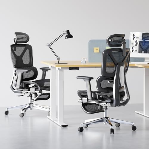 FLEXISPOT ErgoX Premium Ergonomic Office Chair with Footrest- Adjustable 3D Armrests, Dynamic Lumbar Support, Recline & Tilt Function, Mesh Seat, for Home & Office Use,Black FLEXISPOT
