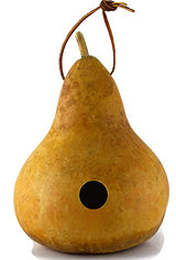 Gourd Birdhouse, Unfinished, Create Your Own Birdhouse Gourdaments