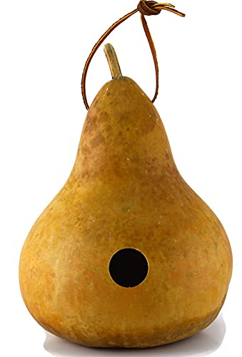 Gourd Birdhouse, Unfinished, Craft Ready, Box of 3