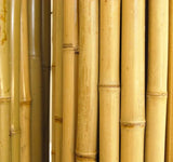 Backyard X-Scapes Natural Bamboo Fencing 6 feet High Outdoor Decorative Rolled Fence Panel 6 ft H x 4 Ft L x 1 in D Backyard X-Scapes