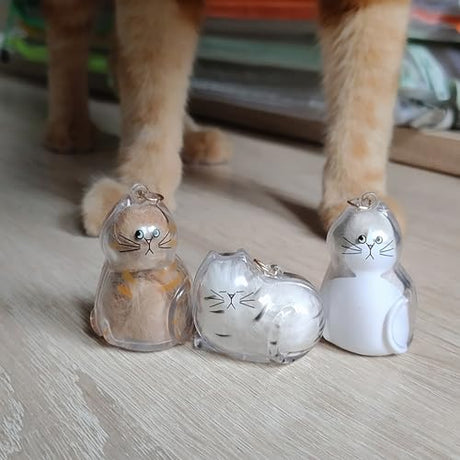 BTYYIHEX 6 Pcs Cat Hair Keepsake Keychains – 2025 New Memorial Capsule Pendants, Fur Holder Bottles for Cat Lovers, Thoughtful Pet Loss or Birthday Gifts BTYYIHEX