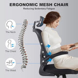 10 Pack Ergonomic Office Chair with 3D Adjustable Headrest, Mesh Home Office Desk Chairs with Lumbar Support & Flip-Up Armrests for Office, Home and Conference Room(10 Pack) Flysky
