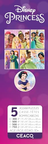 Ceaco - 5 in 1 Multipack - Disney Princess - (2) 300 Piece, (2) 500 Piece, (1) 750 Piece Jigsaw Puzzles Ceaco