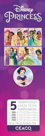 Ceaco - 5 in 1 Multipack - Disney Princess - (2) 300 Piece, (2) 500 Piece, (1) 750 Piece Jigsaw Puzzles Ceaco