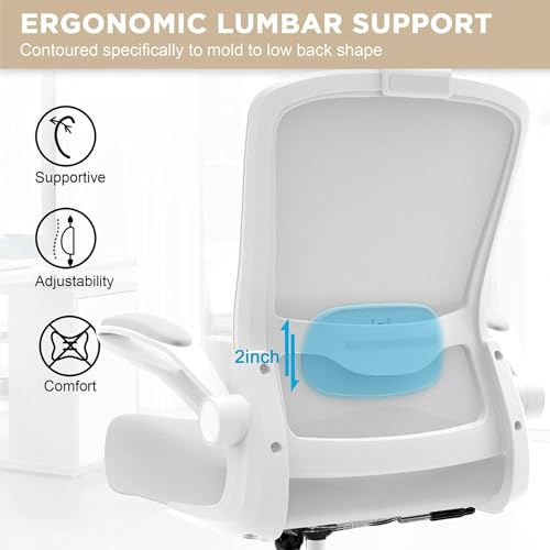 Mimoglad Office Chair, High Back Ergonomic Desk Chair with Adjustable Lumbar Support and Headrest, Swivel Task Chair with flip-up Armrests for Guitar Playing, 5 Years Warranty Mimoglad
