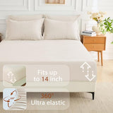 MUXHOMO 7 Pieces Queen Comforter Set, Soft Bed in a Bag Queen Size, All Season Bedding Set with Comforter, Flat Sheet, Fitted Sheet, Pillowcases & Shams, Beige MUXHOMO