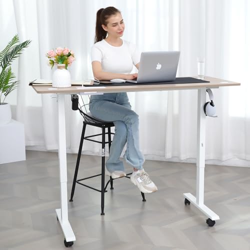 farexon Electric Standing Desk 55 x 24In with Charging Station, Adjustable Height Desk with Mouse Pad, 2 USB Ports & 3 Power Outlets, 4 Caster, 4 Preset Heights, 27''-46'' Lifting Range farexon