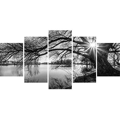DIY 5D Full Diamond Art Kit,Black and White Tree Lake Surface Sunshine 5 Piece Multi Diamond Art Kits for Adults Paint with Diamonds Kits Diamonds Embroidery by Numbers 17.7x37.4 inch GOJOSOWIN