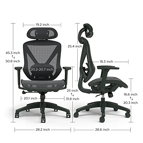 STAPLES Dexley Ergonomic Mesh Office Chair - Adjustable Height, Swivel Tilt, Lumbar Support, Black STAPLES