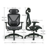 STAPLES Dexley Ergonomic Mesh Office Chair - Adjustable Height, Swivel Tilt, Lumbar Support, Black STAPLES