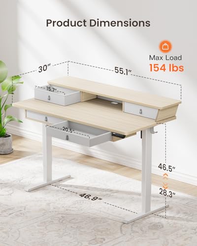 ErGear Electric Standing Desk with 4 Drawers, Height Adjustable Desk with Storage, C-Clamp Mount Compatible, Computer Home Office Table with Cable Management Tray ErGear