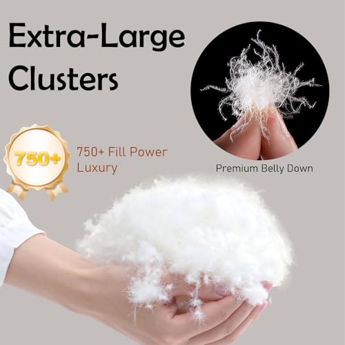 Gjzawayk Premium Goose Down Comforter King Size, 95% Goose Down, 750 Super Fill Power, 53oz Down Fill Weight,Breathable 100% Cotton, All Season Cloud Fluffy Duvet Insert,90"x100" Gjzawayk