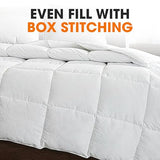 Cheer Collection Down Alternative Comforter - Ultra-Soft & Cozy Twin Size Duvet Insert, Lightweight Down Comforter for All-Season Warmth, Plush Bedding Twin Comforter, White Cheer Collection