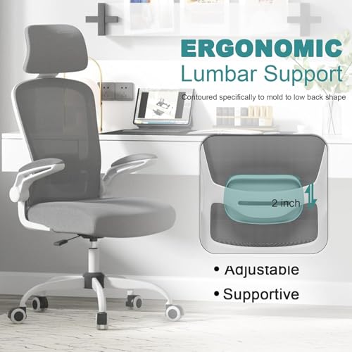 Mimoglad Office Chair, High Back Ergonomic Desk Chair with Adjustable Lumbar Support and Headrest, with flip-up Armrests for Guitar Playing, 5 Years Warranty (Moon Grey) Mimoglad
