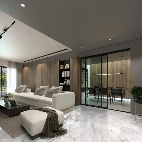 Doors 55 Glass Room Divider Panel and Partition Wall, Partition Wall Divider & 2 Panel Room Divider - Perfect Wall Divider for Room Separation & Partition Room Dividers (Clear Glass, 60x80) Doors55