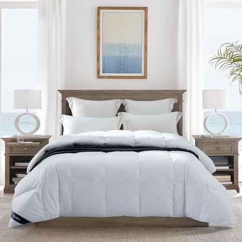 Globon Ultra-Soft Lightweight Down Feather Comforter King Size,Breathable Light Duvet Insert for Hot Sleeper/Warm Weather,Noiseless Shell,700 Fill Power with Corner Tabs,White Globon