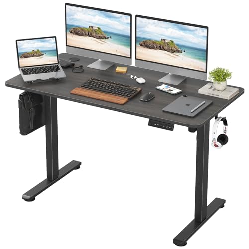 Electric Standing Desk with Memory Preset 48 x 24 Inches Sit Stand up Desk Adjustable Height Desk Home Office Computer Workstation - WoodArtSupply