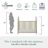 Little Seeds Piper Upholstered Metal Crib, Gold Little Seeds