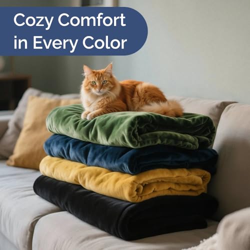 Ultra Soft Fleece Blanket King Size - Flannel Fleece Luxury King Blanket - Lightweight for Couch Bed Chair - Thick, Warm and Breathable - All Season Cozy Fuzzy, Anti-Static Microplush Bedding, Black CGK Unlimited