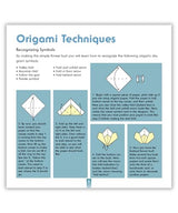 Amazing Origami Kit: Traditional Japanese Folding Papers and Projects [144 Origami Papers with Book, 17 Projects] Tuttle Publishing