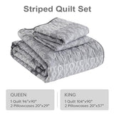 Boho Quilt Set Queen Size Gray Farmhouse Quilt Bedding Set Striped Lightweight Summer Bedspread Coverlet Bedding Set 96"x90" (3 Pieces) Cottolester