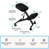 ProErgo Pneumatic Ergonomic Kneeling Chair | Fully Adjustable Mobile Office Seating | Improve Posture to Relieve Neck & Back Pain | Easy Assembly | Use in Home, Office & Classroom Stand Steady
