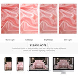 Satin Queen Comforter Set Silk Like Satin Bedding Set Hotel Soft Polyester Pink Bed Set Luxury Silky Pillow Cover with Quilt Set Ruffle Down Comforter Home Decor Bedding_Dreamer