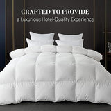 WhatsBedding Feather Down Fiber White Comforter, All Season Luxury Bed Comforter,Ultra Soft 100% Cotton Duvet Insert, Full Size 82"x86" WhatsBedding