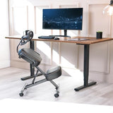 VIVO DRAGONN DN-CH Kneeling Chair, Metal, Black, One Size Fits All VIVO