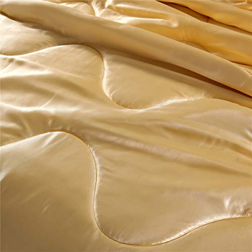 NTBED Sexy Silky Satin Comforter Sets Queen Golden Lightweight Soft Luxury Quilt 3-Pieces Microfiber Bedding Set Yellow (Gold, Queen) NTBED