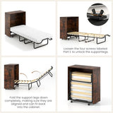 Giantex Murphy Bed Cabinet with Mattress Included, 74" x 31" Cot Size Fold Out Bed with Storage & Lockable Wheels, Metal Frame, 2 in 1 Roll Away Bed with Mattresses for Adults Guests Giantex