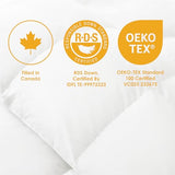 Canadian Down & Feather Co. - Regular Weight 650 Loft White Goose Down Duvet XL King Size - 360 TC Shell 100% Cotton - Filled in Canada Canadian Down & Feather Company