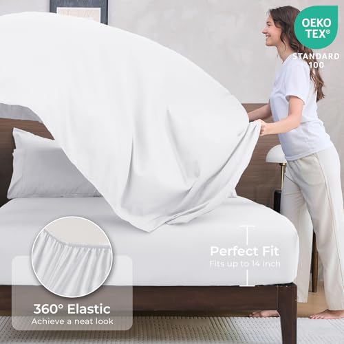 HEVUMYI White Queen Comforter Set - 7-Piece All Season Bed in a Bag Queen, Ultra Soft Bedding Set with Comforter, Flat Sheet, Fitted Sheet, Pillowcases, Pillow Shams HEVUMYI