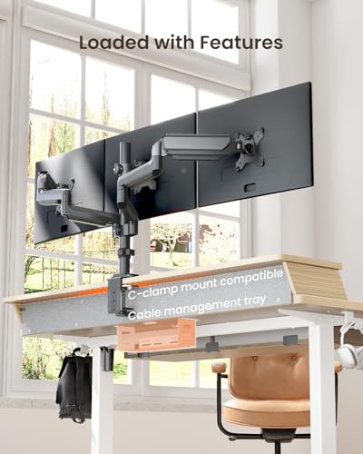ErGear Electric Standing Desk with 4 Drawers, Height Adjustable Desk with Storage, C-Clamp Mount Compatible, Computer Home Office Table with Cable Management Tray ErGear