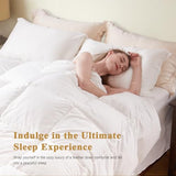 TOPGREEN Organic Feather Down Comforter Full Size, Luxury Extra-Fluffy Duvet Insert, All Season Bed Comforter with Ultra-Soft Organic Cotton Case (82x86 Inch, Ivory White) TOPGREEN