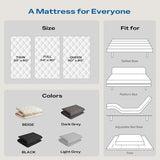 Aircliff Japanese Floor Futon Mattress, Tatami Mat Sleeping Pad, Shikibuton, Mattress Topper, Boys Girls Roll Up Dormitory Mattress, Foldable & Portable Floor Lounger Bed, Guest Bed (Cream, Twin) Aircliff