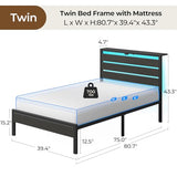 Rolanstar Twin Bed Frame with 6 Inch Gel Memory Foam Mattress, LED Metal Platform Bed with USB Charging & Storage Headboard, Black, CertiPUR-US Certified Mattress Rolanstar